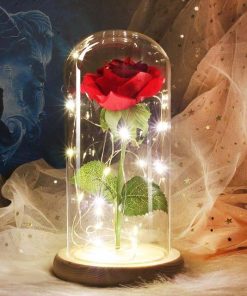 Exclusive Real Preserved Rose in Glass Dome with Lights Rose Valentines Day Gift
