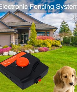Electric Dog Fence