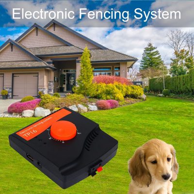 Electric Dog Fence