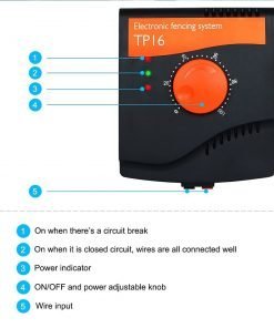 Electric Dog Fence