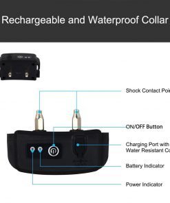 Electric Dog Fence