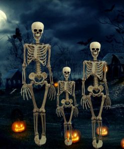 Posable Skeleton