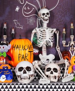 Posable Skeleton