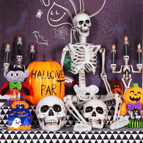 He165153397c540caba92057dabf224bb2_1 Posable Skeleton