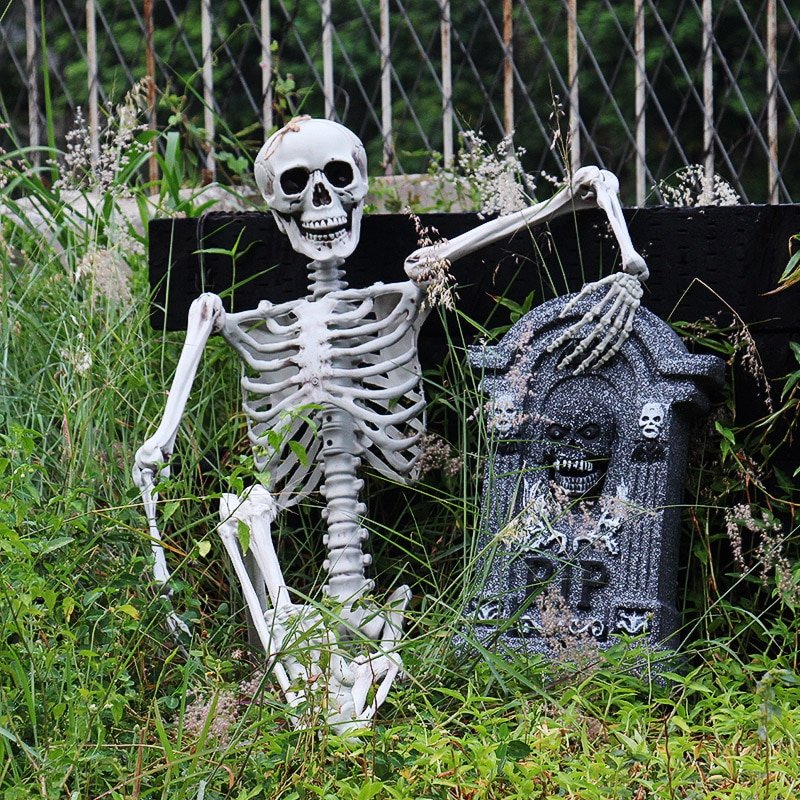 He165153397c540caba92057dabf224bb2_2 Posable Skeleton