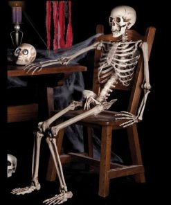 Posable Skeleton