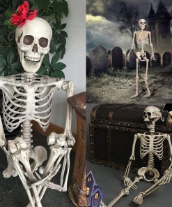 Posable Skeleton