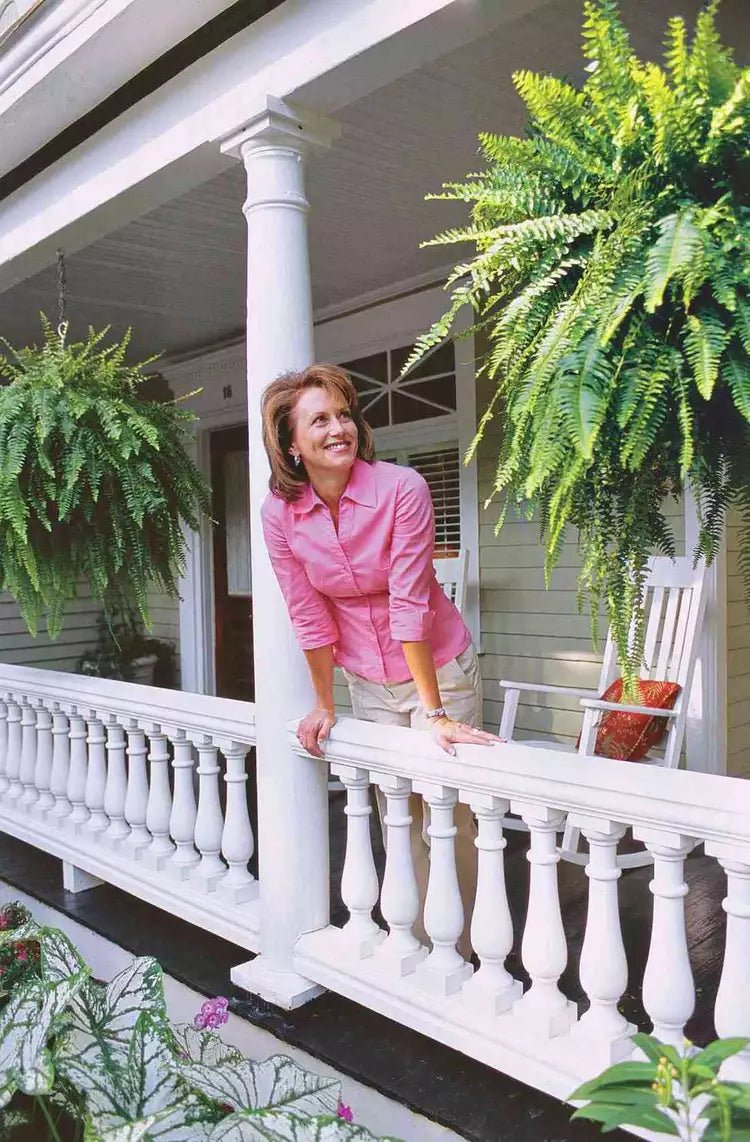 Five-Great-Ferns-0d3a8a01ff524f59a51e75a87970f85c.jpg