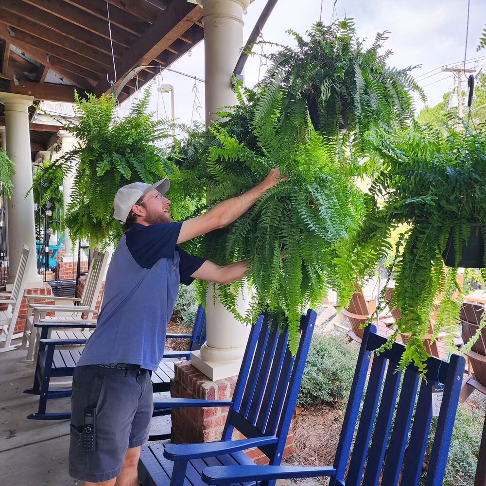 Man-caring-Boston-Fern-Pant.jpg