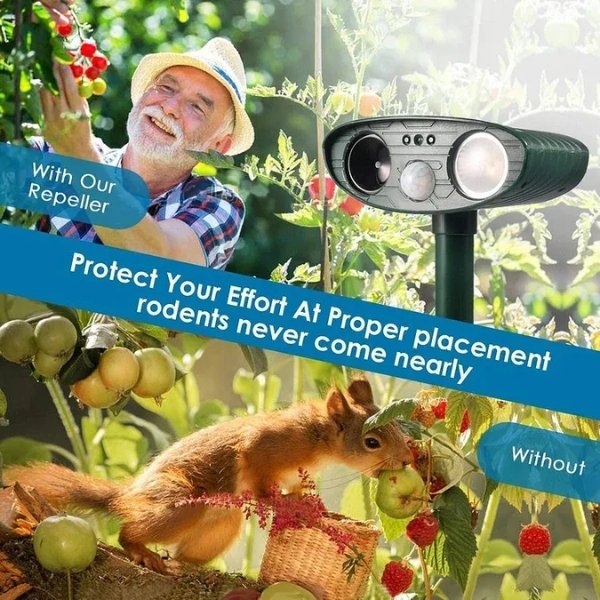 dog repeller 6