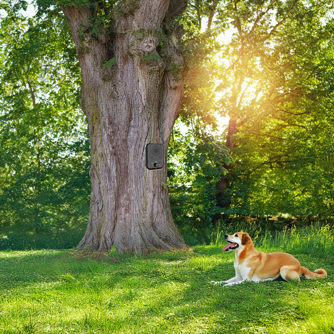 p5_ea3f4abe-8994-46e9-963d-bdcbdff01e6c.png